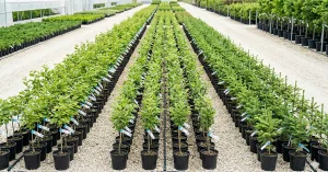 Luminex PLC moves in to Agri Sector